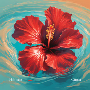 Hibisco