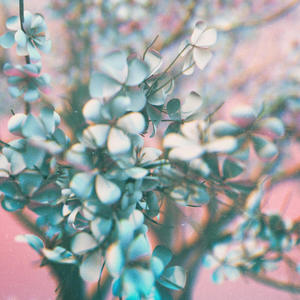 Witchcraft (Explicit)