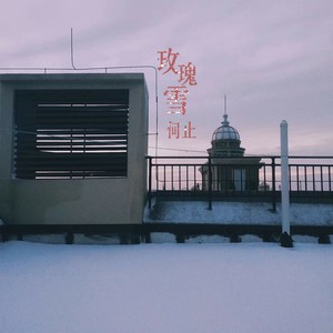 玫瑰雪