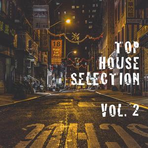 Top House Selection Vol.2