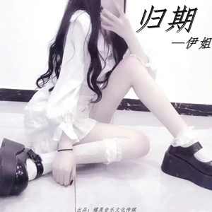 低调 (DJ版)