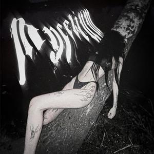 Mycelium (Ultra Slowed)