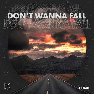 Don't Wanna Fall