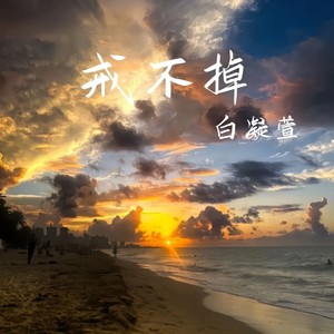 戒不掉 (重新出发吗)