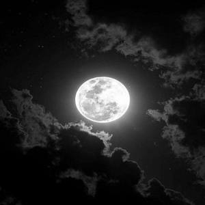 I'm writing to Elon Musk (Explicit)