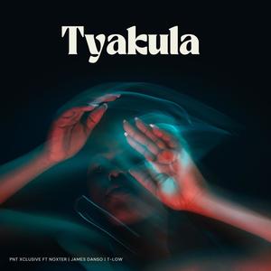 Tyakula (feat. T low,James Danso & Noxter) (Explicit)