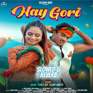 Hay Gori (Nagpuri Song) (Slowed & Reverb)