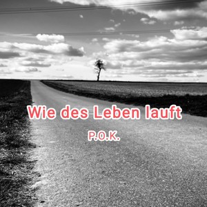 Wie des Leben lauft (Radio Edit)