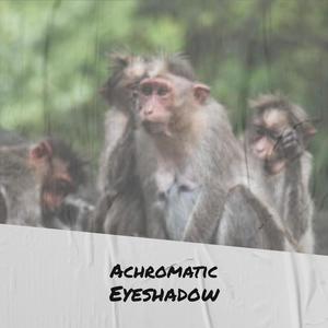 Achromatic Eyeshadow