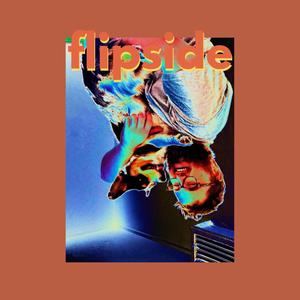 Flipside