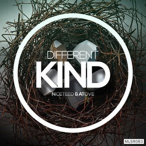 Different Kind EP