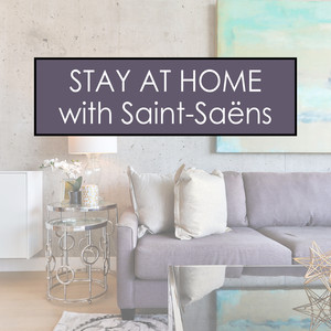 Symphony No. 3 in C Minor, Op. 78, R. 176 