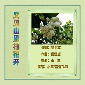 又见山里柚花开 (对唱版)