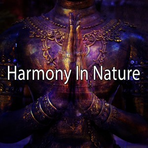 Harmony In Nature