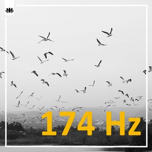 Resonant Bliss: Harmonic Waves of 174 Hz