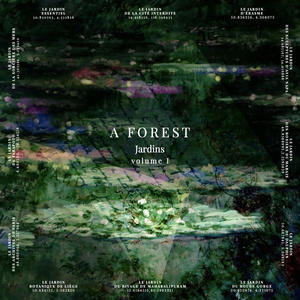 Le jardin de la sorcière des mers