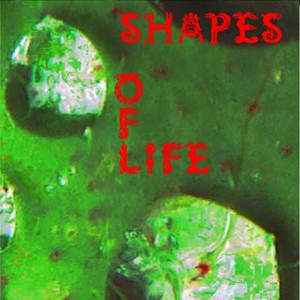 Shapes of Life (Explicit)