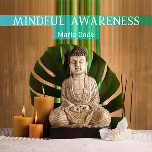 Mindful Awareness