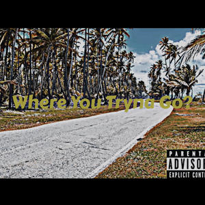 Where you tryna go (Explicit)