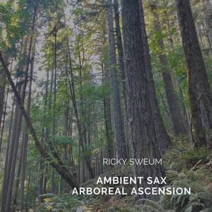 Ambient Sax Arboreal Ascension
