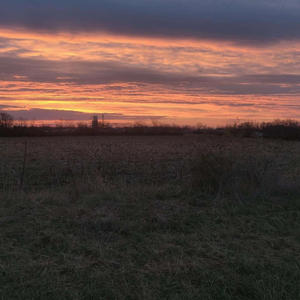 SELF SABOTAGE (Explicit)