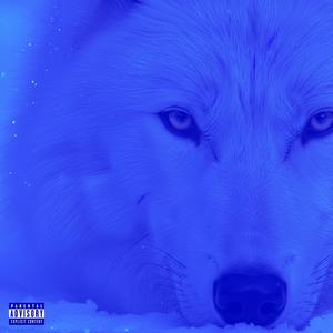 Loba (Slowed & Reverb)