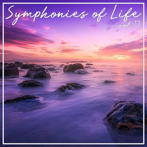 Symphony In B Major - Largo
