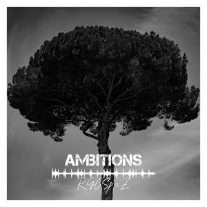 Ambitions