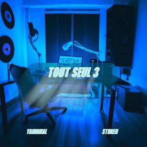 Tout Seul #3 (feat. Storen)
