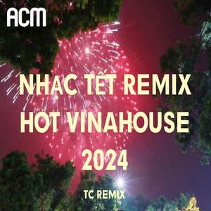 Nhạc Tết Remix Hot Vinahouse (TC REMIX)