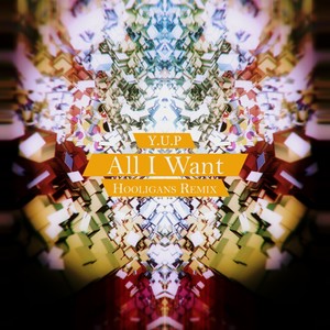 All I Want (Hooligans Remix)