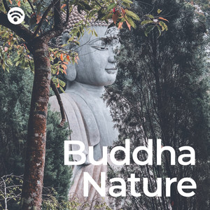 Celestial Meditations on Buddha's Grace