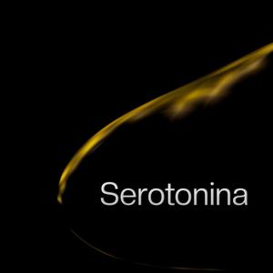 Serotonina(feat. CLAUSTRO & Ricardo Costa) (Explicit)