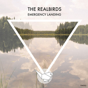 Emergency Landing - Single