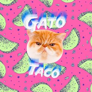 Gato Taco