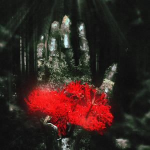 LED (Prod. by Haagen Pedersen)