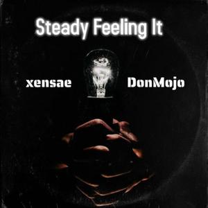 Steady Feeling It (feat. Don Mojo) [Explicit]