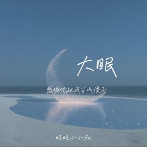 大眠(感谢他把我当成傻子)