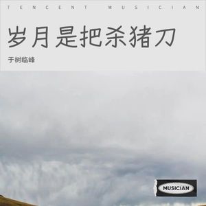 岁月是把杀猪刀
