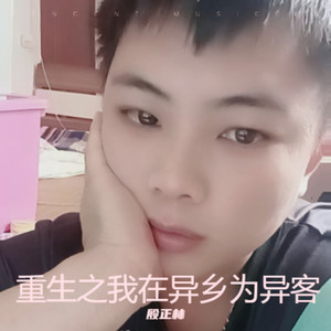 殷正林 - 重生之我在异乡为异客