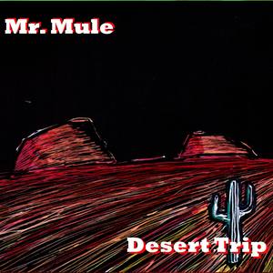 Desert Trip