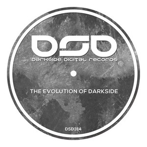 The Evolution of Darkside