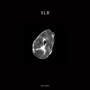 XLR