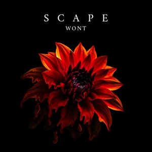 SCAPE (Explicit)