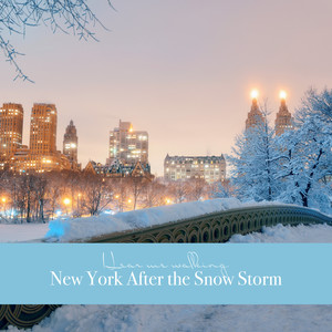 Hear Me Walking: New York After the Snow Storm