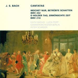 Weichet nur, betrubte Schatten, BWV 202, Wedding Cantata: Recitative: Die Welt wird wieder neu