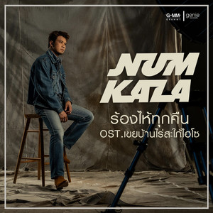 ร้องไห้ทุกคืน (เพลงประกอบละคร เขยบ้านไร่สะใภ้ไฮโซ)