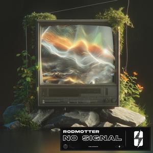 No Signal (Extended Mix)