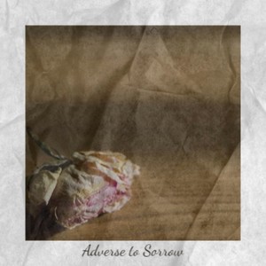 Adverse to Sorrow