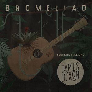 Bromeliad Acoustic Sessions